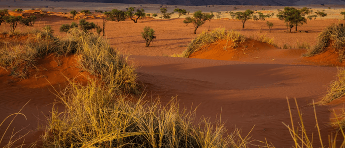 Kalahari North Namibia